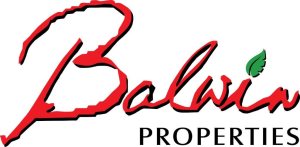See more Balwin Properties developments in Sandown