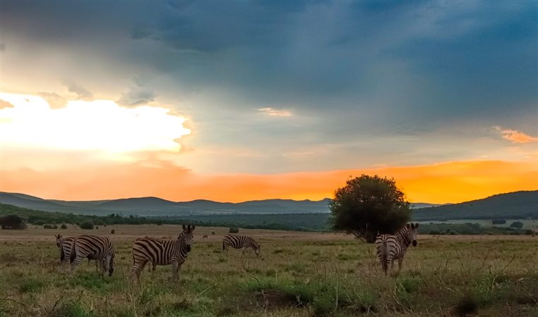 Image Number 8 for Boschhoek Mountain Estate in Waterberg, Limpopo