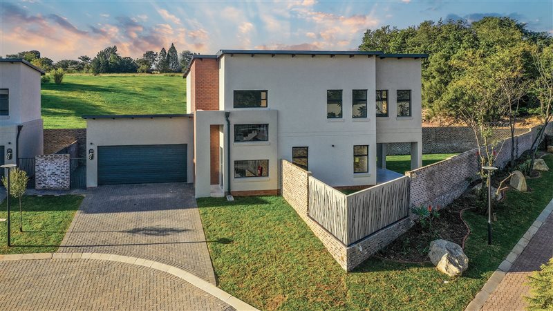 Image Number 2 for The Swallows