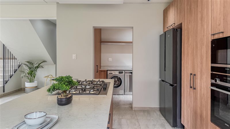 Image Number 4 for The Swallows