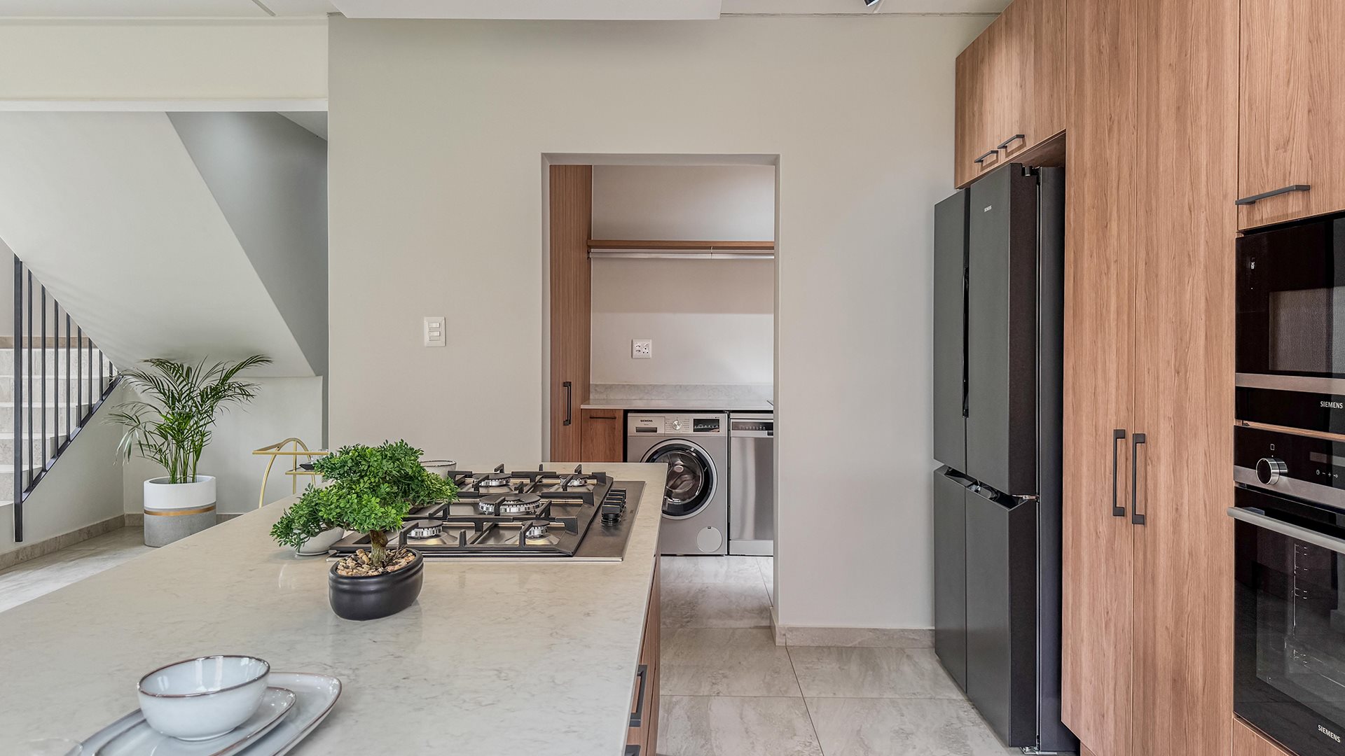 Image Number 1 for The Malachite