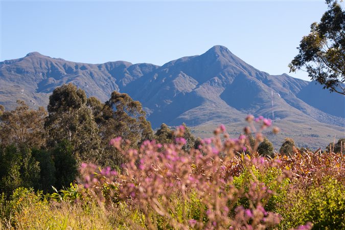 Image Number 2 for Urban Country Estate