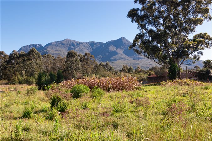 Image Number 4 for Urban Country Estate