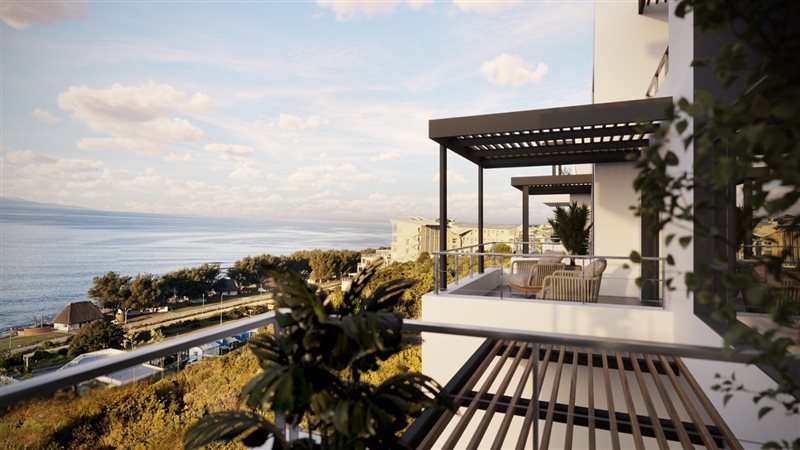 Image Number 4 for Beluga