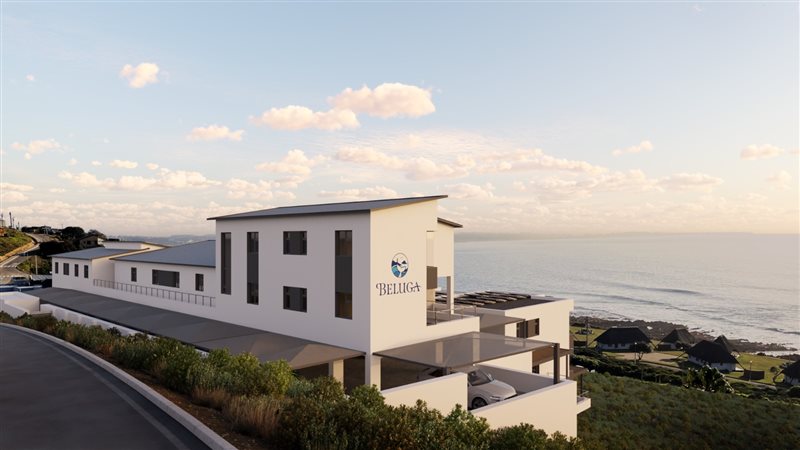 Image Number 8 for Beluga