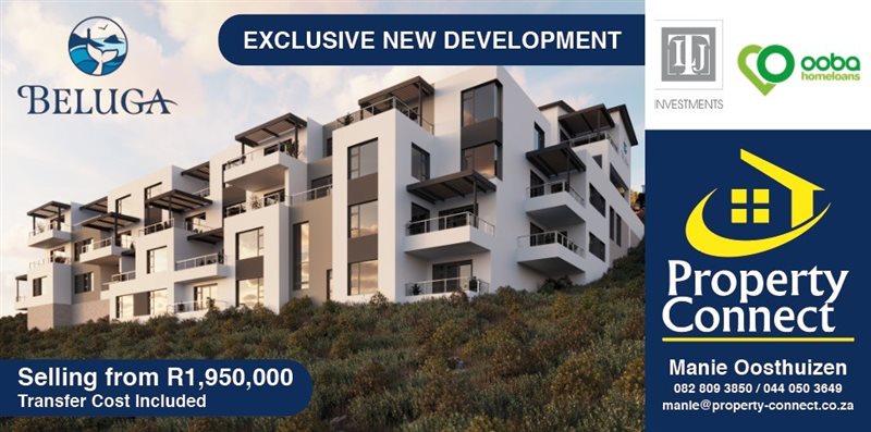 Image Number 9 for Beluga