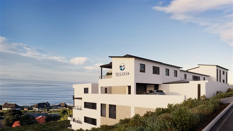 Image Number 5 for Beluga