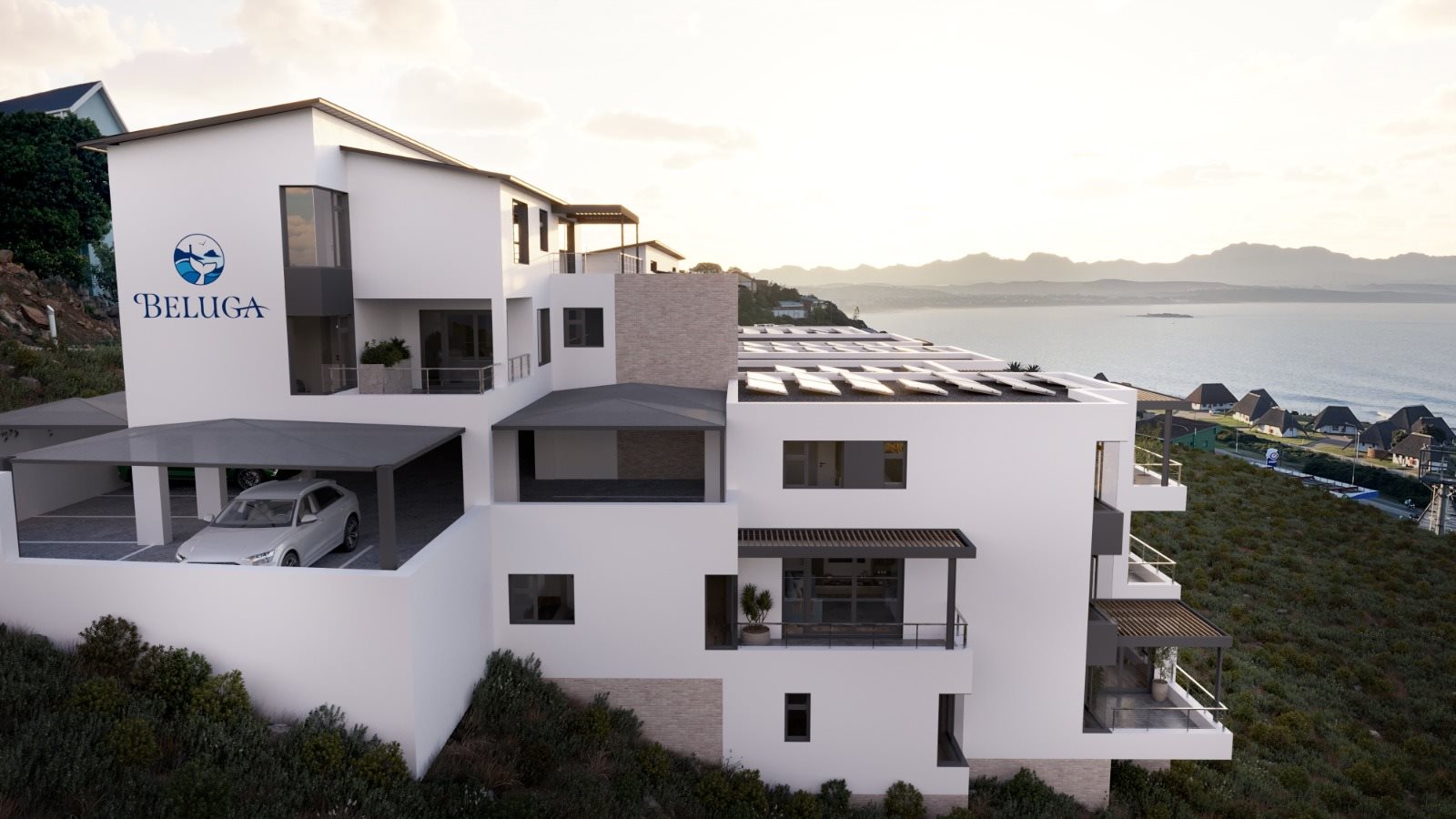 Image Number 1 for Beluga