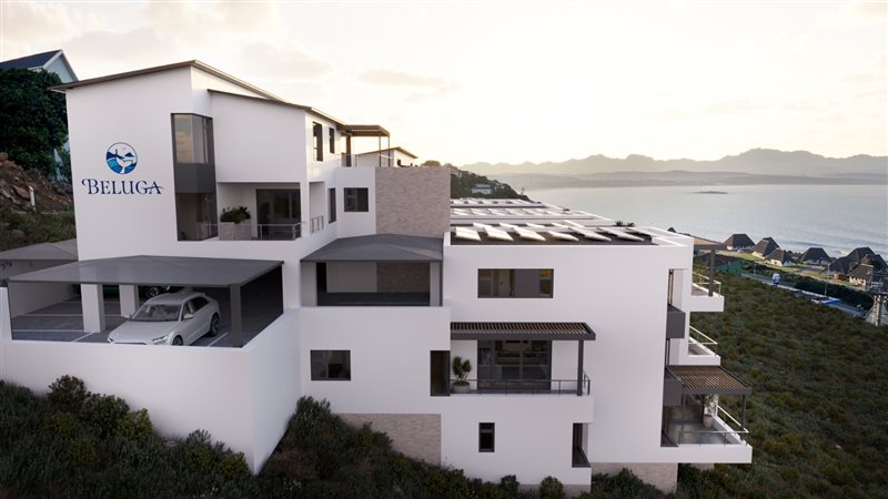 Image Number 1 for Beluga