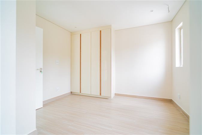 Image Number 4 for The David