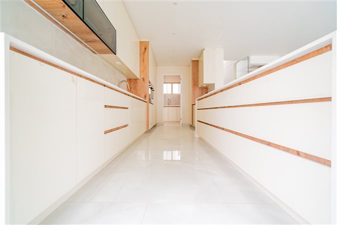 Image Number 8 for The David