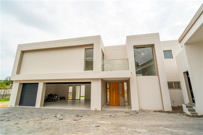 Image Number 1 for The David