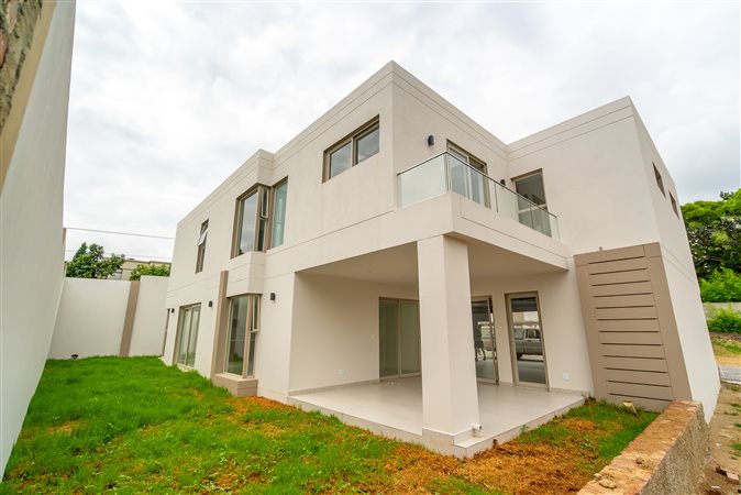 Image Number 9 for The David