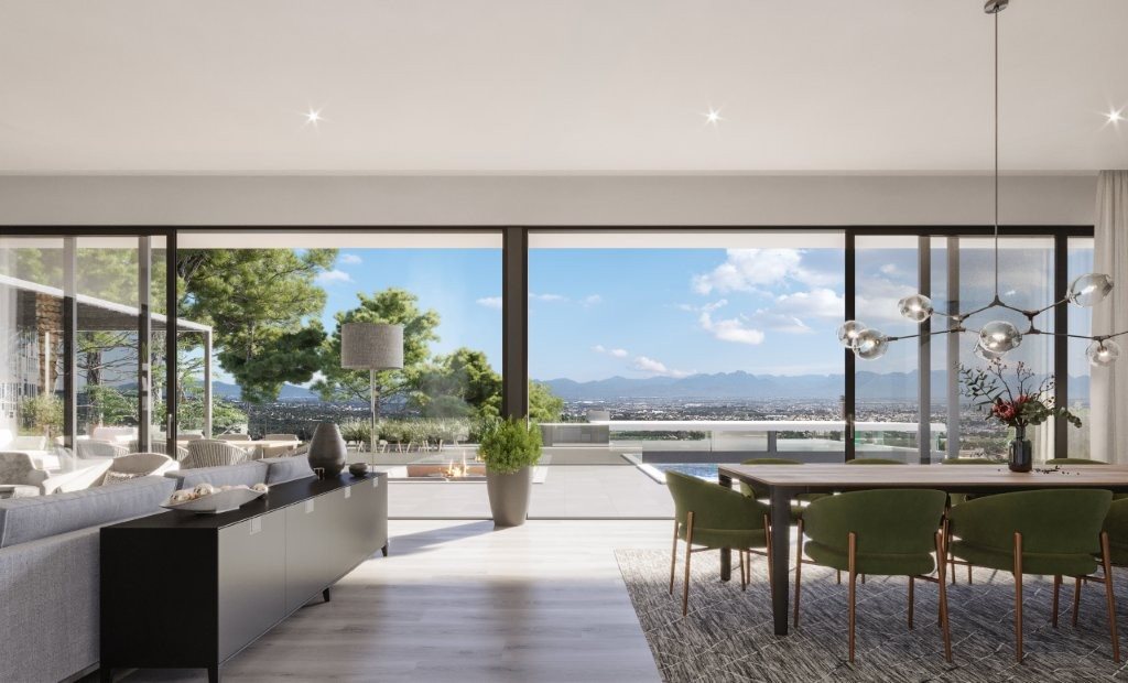 Image Number 3 for Steenberg Views