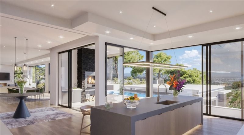 Image Number 5 for Steenberg Views