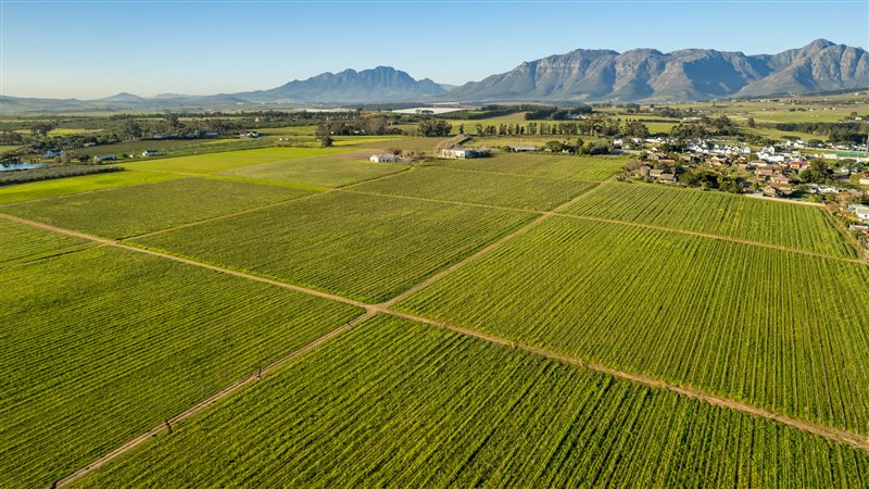 Image Number 5 for Newlands Estate