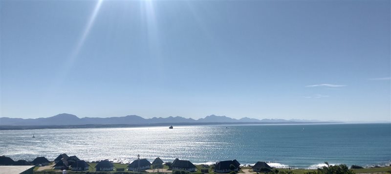 Image Number 9 for Beluga