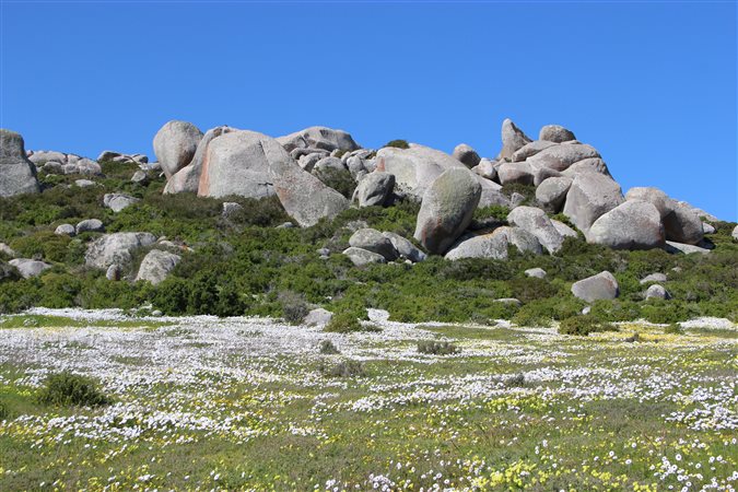 Image Number 4 for St Helena Views