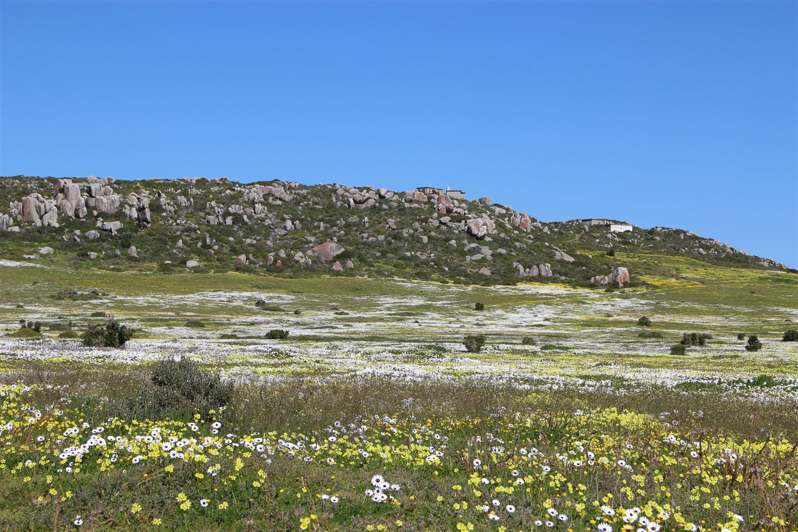 Image Number 3 for St Helena Views