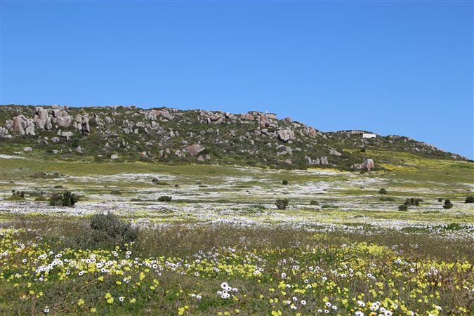Image Number 3 for St Helena Views