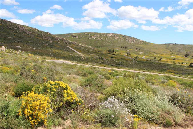 Image Number 7 for St Helena Views