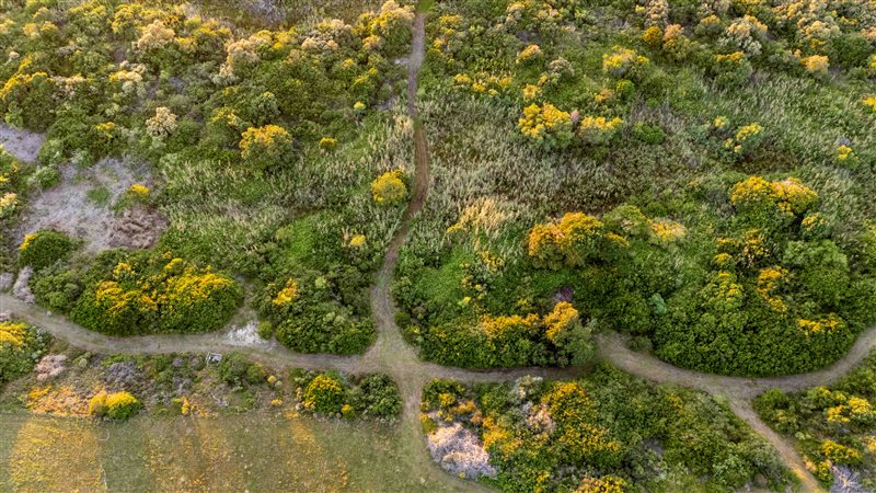 Image Number 8 for Plett Lagoon Estate