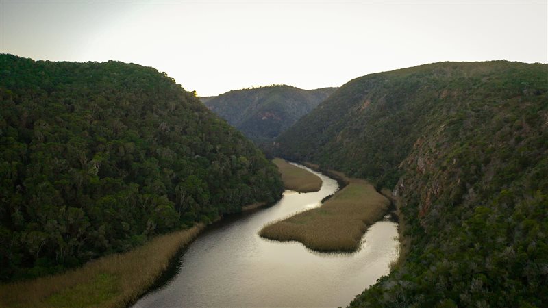 Image Number 4 for Pezula Private Estate