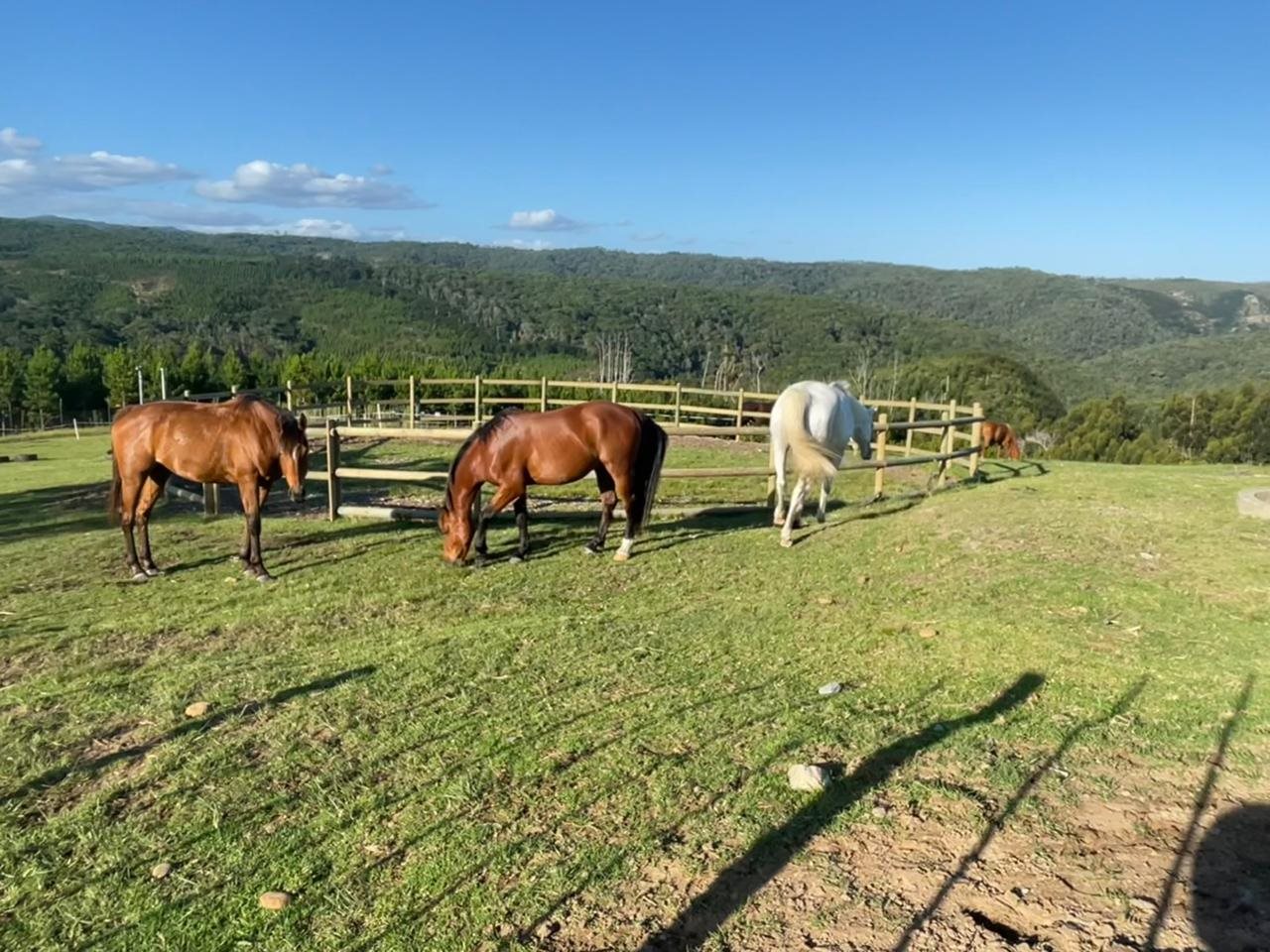 Image Number 3 for Pezula Private Estate