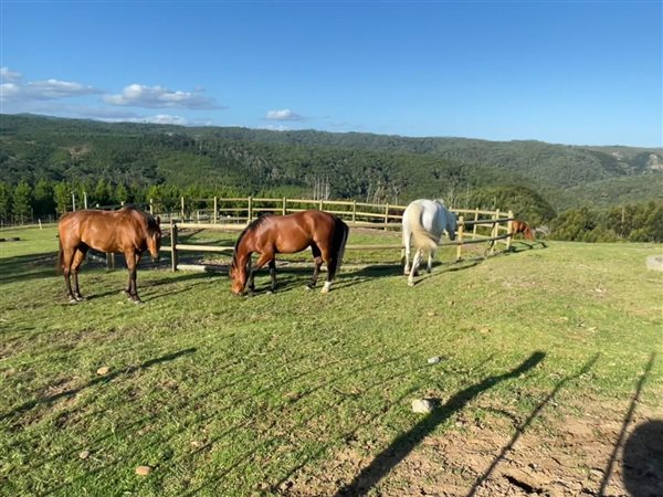 Image Number 3 for Pezula Private Estate