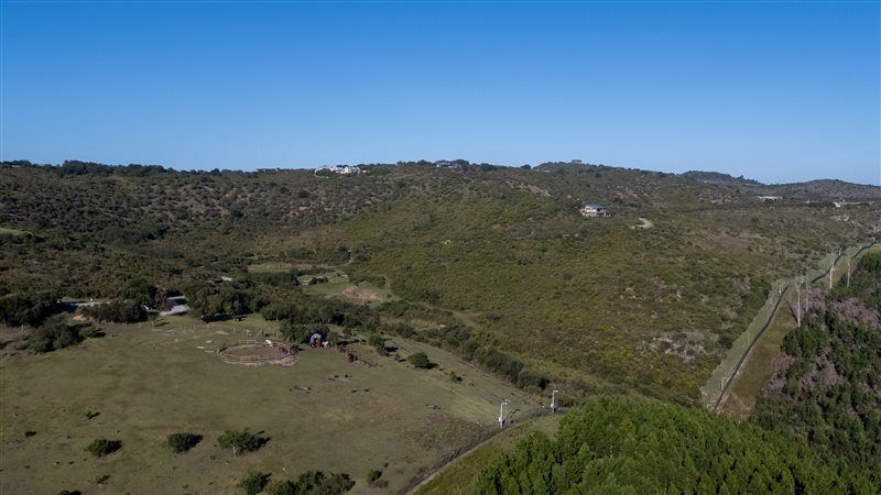 Image Number 5 for Pezula Private Estate