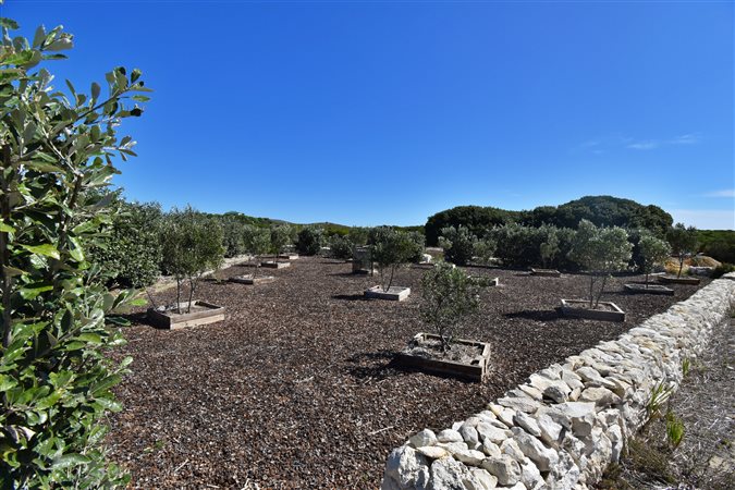 Image Number 8 for Sea Cottage Estate