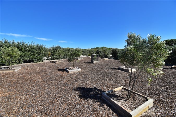 Image Number 9 for Sea Cottage Estate