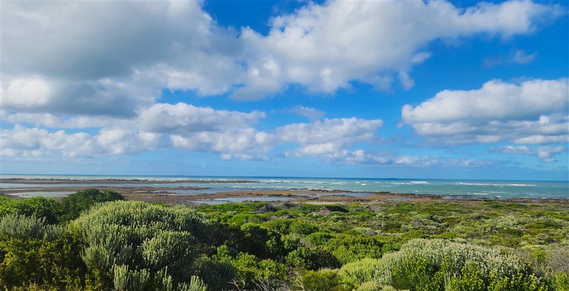 Image Number 9 for Moquini Bay