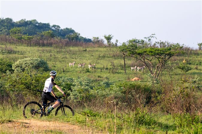 Image Number 9 for Likweti Bushveld Farm Estate