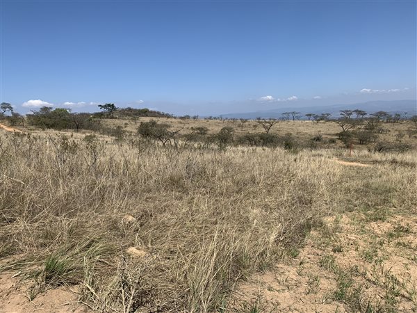 Image Number 7 for Likweti Bushveld Farm Estate