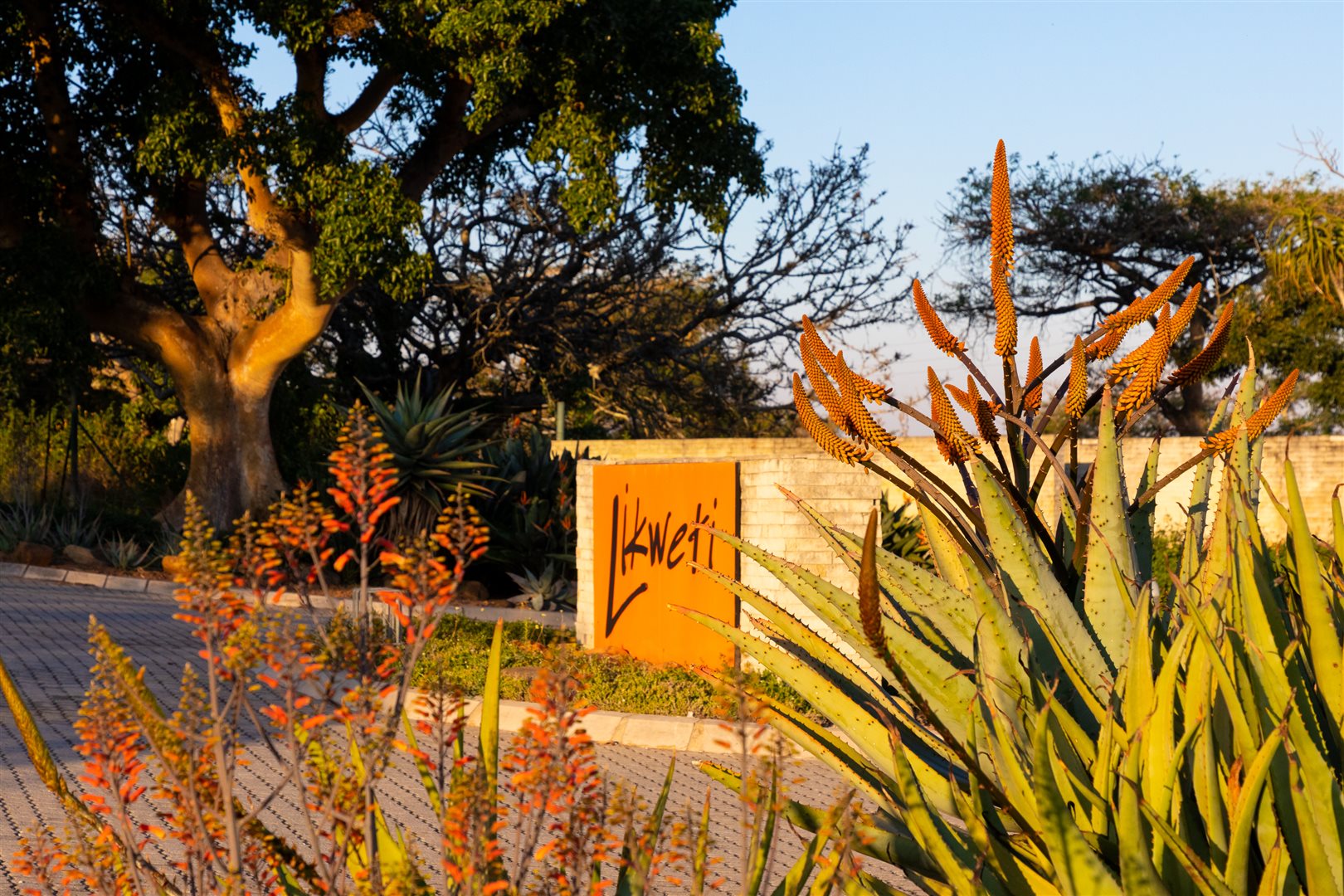 Image Number 2 for Likweti Bushveld Farm Estate