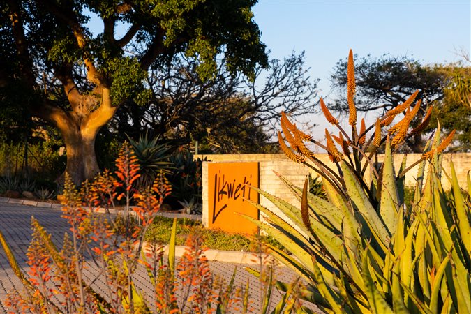 Image Number 2 for Likweti Bushveld Farm Estate