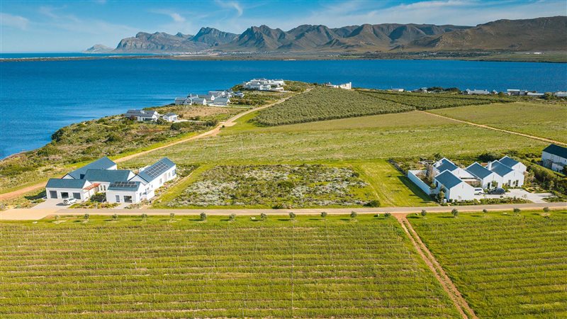 Image Number 3 for Benguela Cove Lagoon Wine Estate