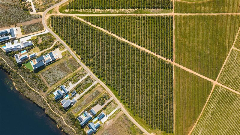 Image Number 4 for Benguela Cove Lagoon Wine Estate