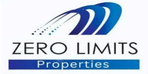 Zero Limits Properties