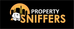 Property Sniffers