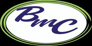 Bronwynne Meyer Consulting