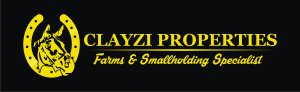 Clay-Zi Properties