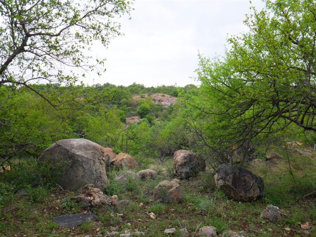 1.4 ha Land available in Hoedspruit photo number 4
