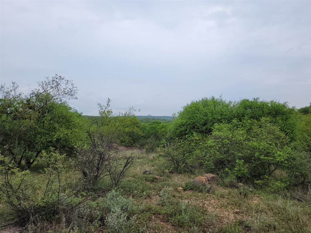 1.4 ha Land available in Hoedspruit photo number 7
