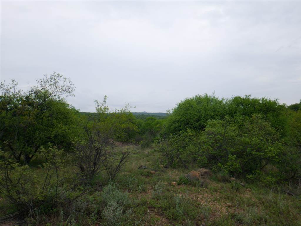 1.4 ha Land available in Hoedspruit photo number 6
