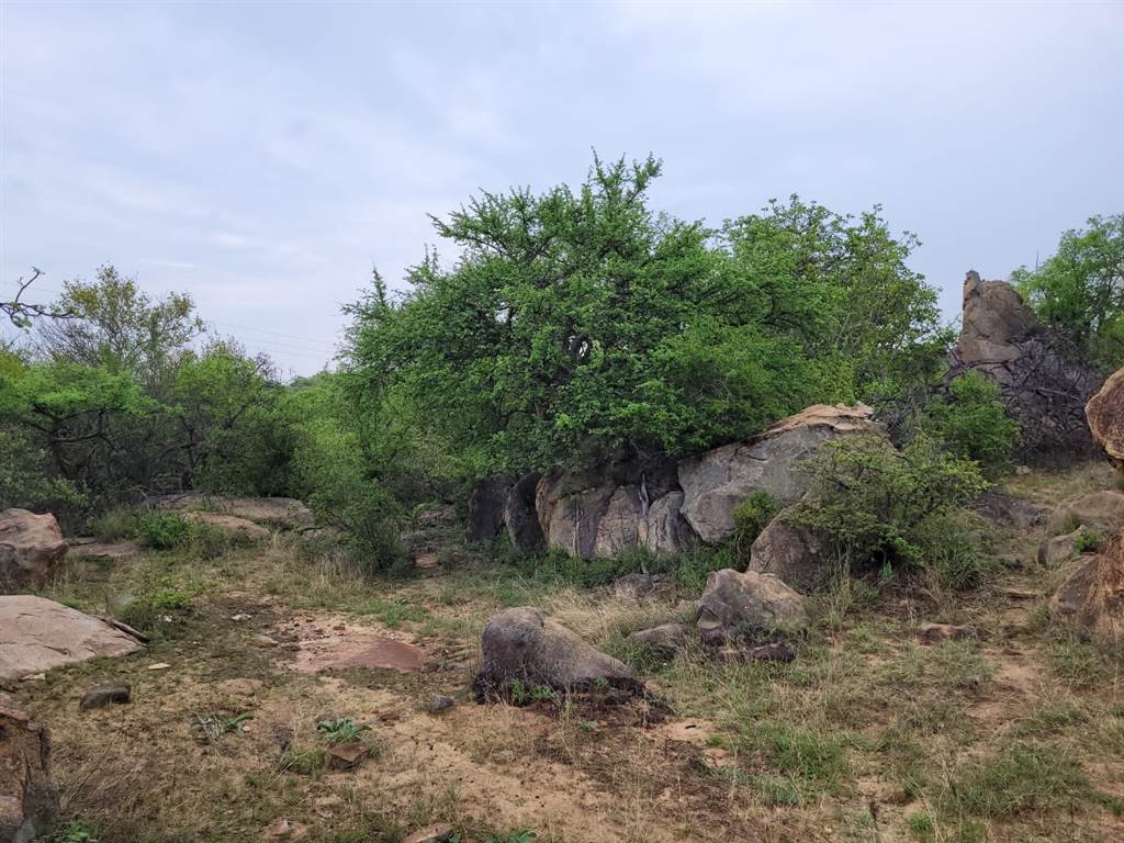 1.4 ha Land available in Hoedspruit photo number 11
