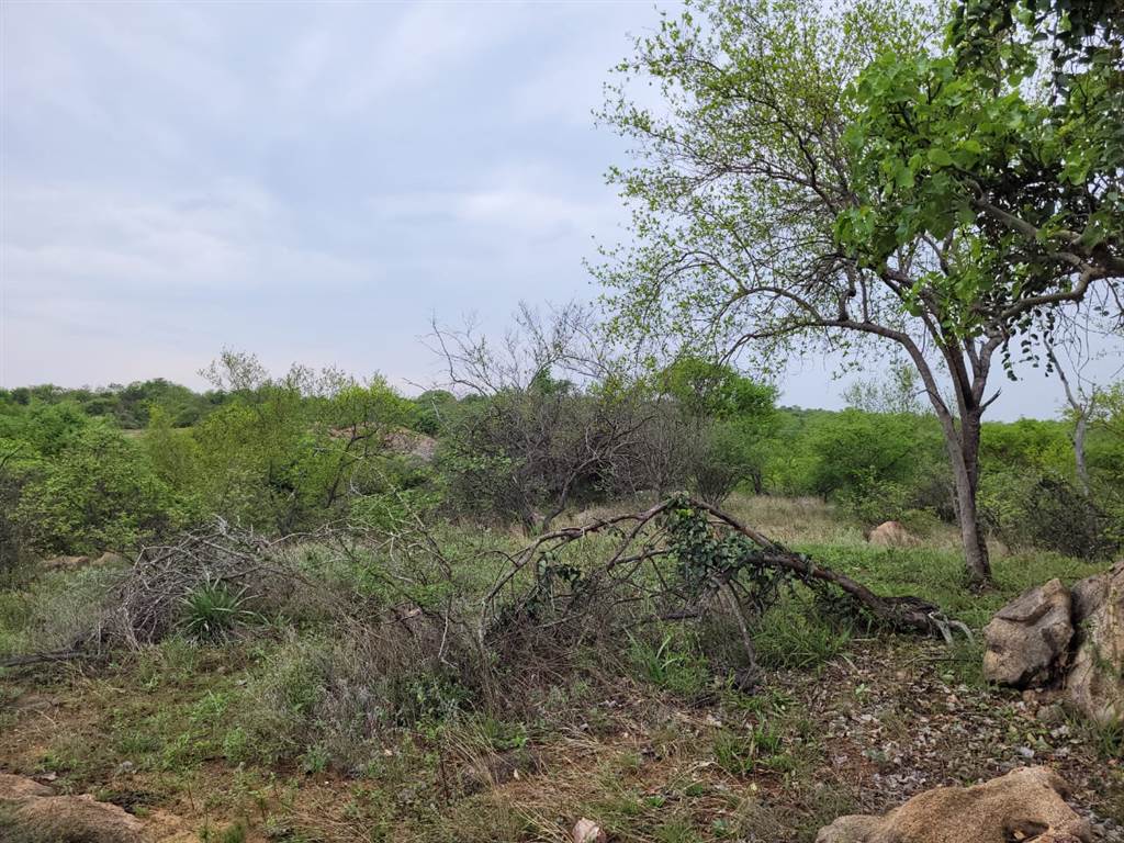 1.4 ha Land available in Hoedspruit photo number 8
