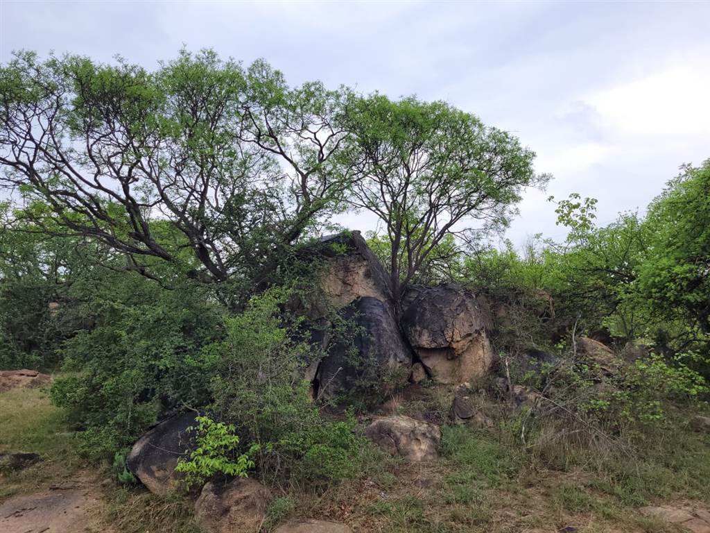 1.4 ha Land available in Hoedspruit photo number 13