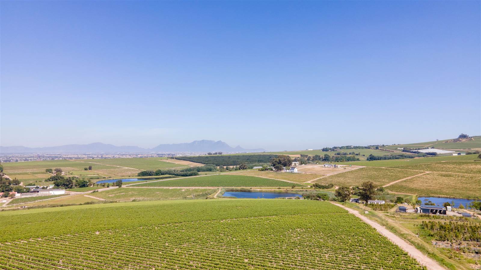 92.6 ha Farm in Stellenbosch Agricultural photo number 5